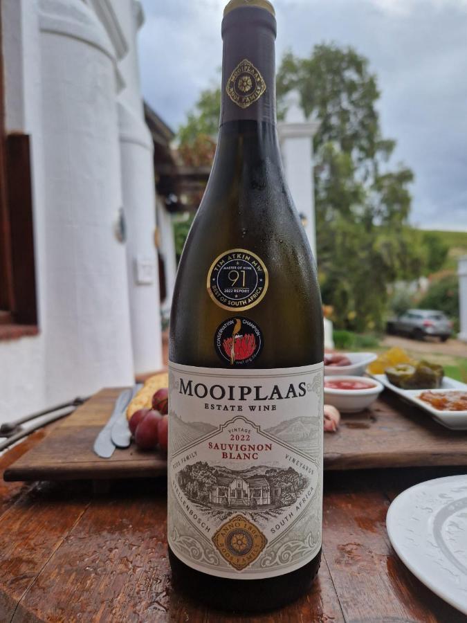 스텔렌보스 Mooiplaas Wine Estate 아파트 외부 사진
