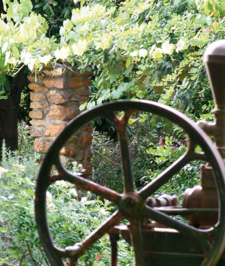 스텔렌보스 Mooiplaas Wine Estate 아파트 외부 사진