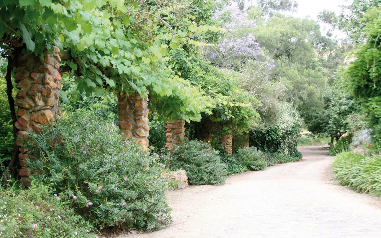 스텔렌보스 Mooiplaas Wine Estate 아파트 외부 사진