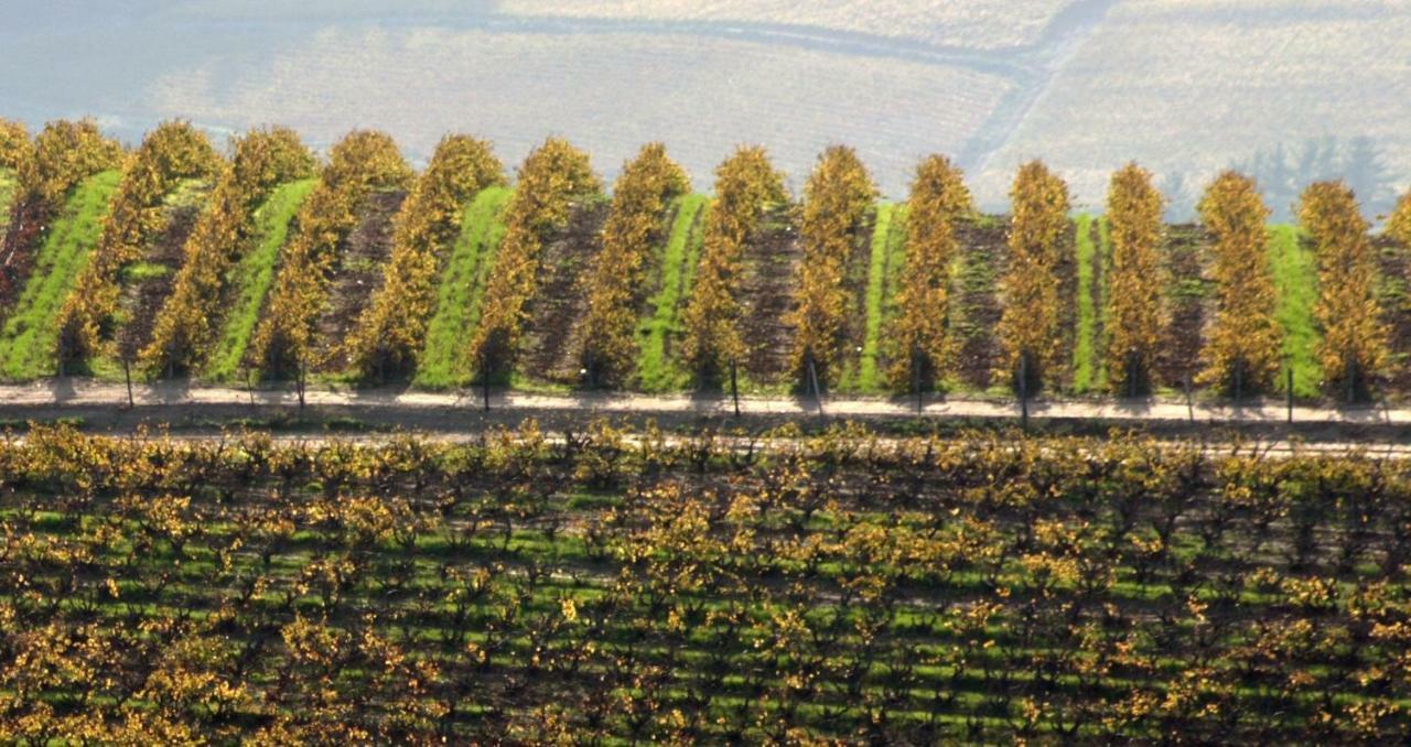 스텔렌보스 Mooiplaas Wine Estate 아파트 외부 사진