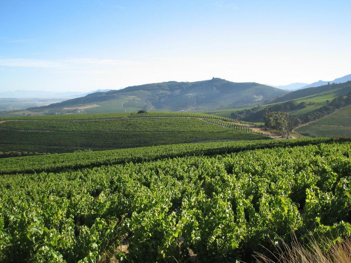 스텔렌보스 Mooiplaas Wine Estate 아파트 외부 사진