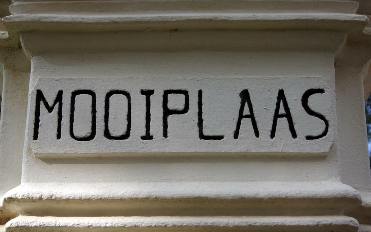 스텔렌보스 Mooiplaas Wine Estate 아파트 외부 사진