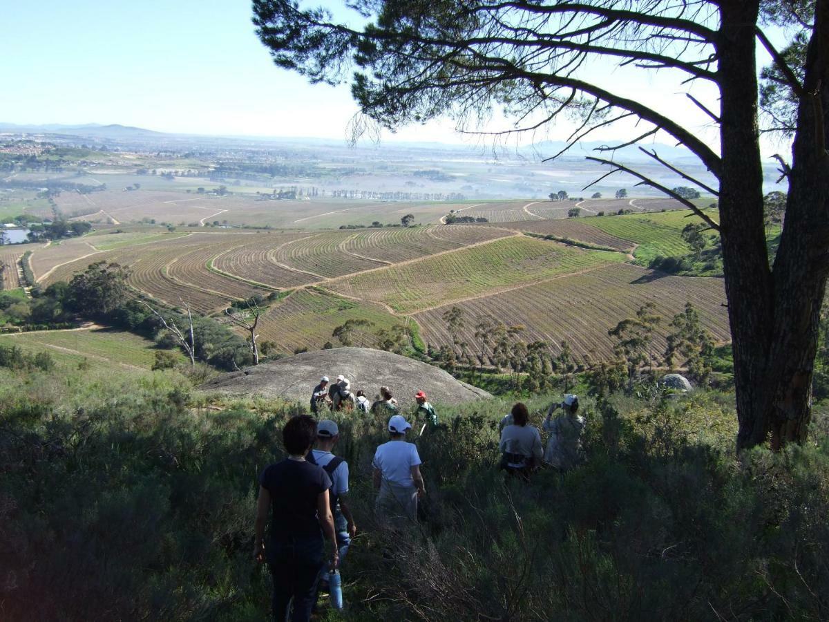스텔렌보스 Mooiplaas Wine Estate 아파트 외부 사진