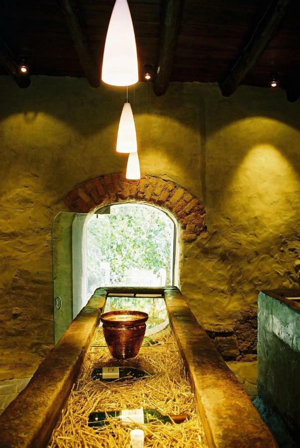 스텔렌보스 Mooiplaas Wine Estate 아파트 외부 사진